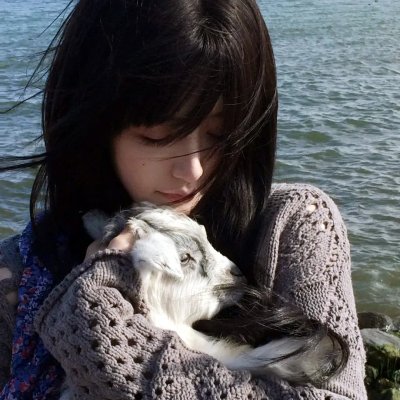 海燕双飞